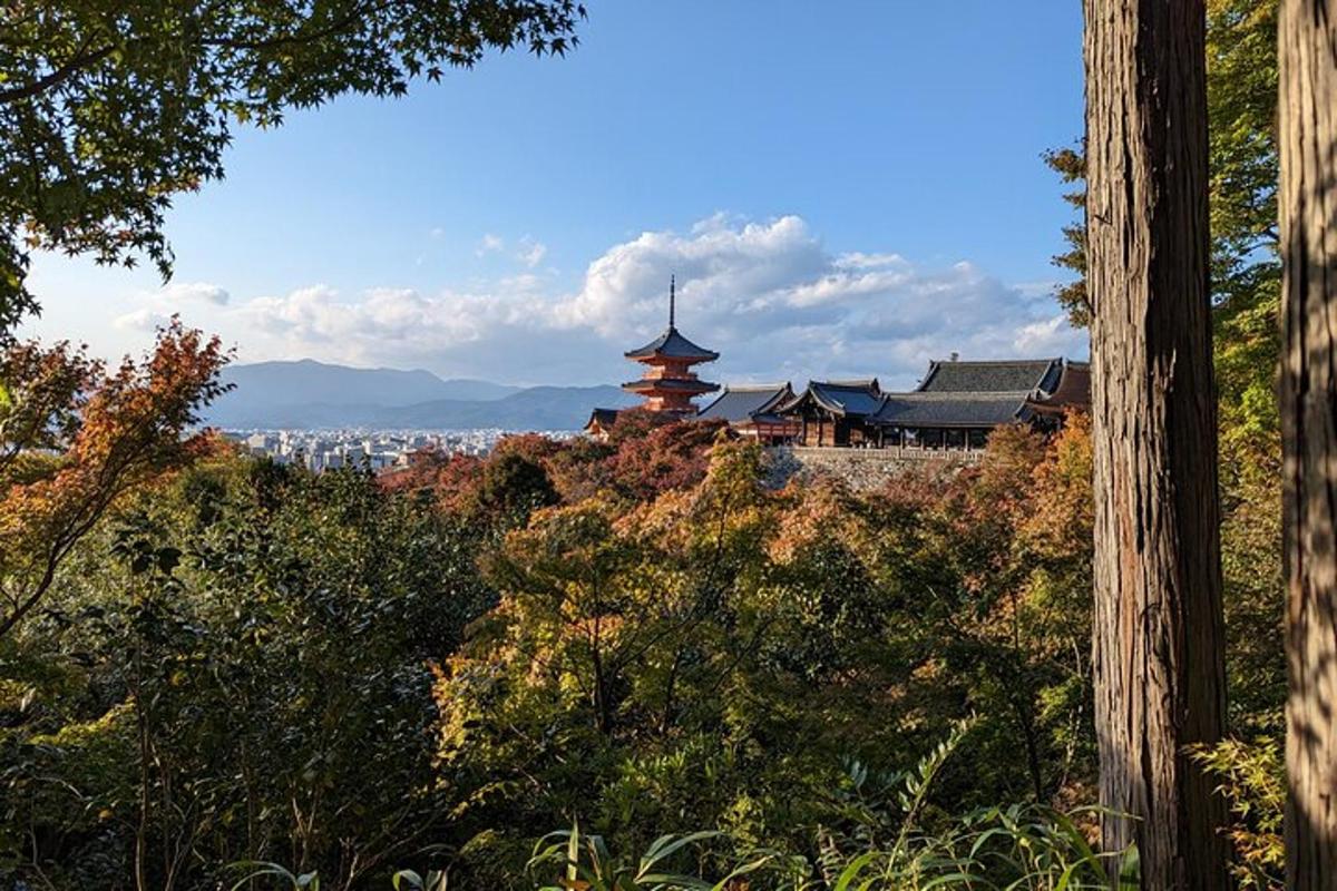 pagoda stojící na vrcholu kopce se stromy