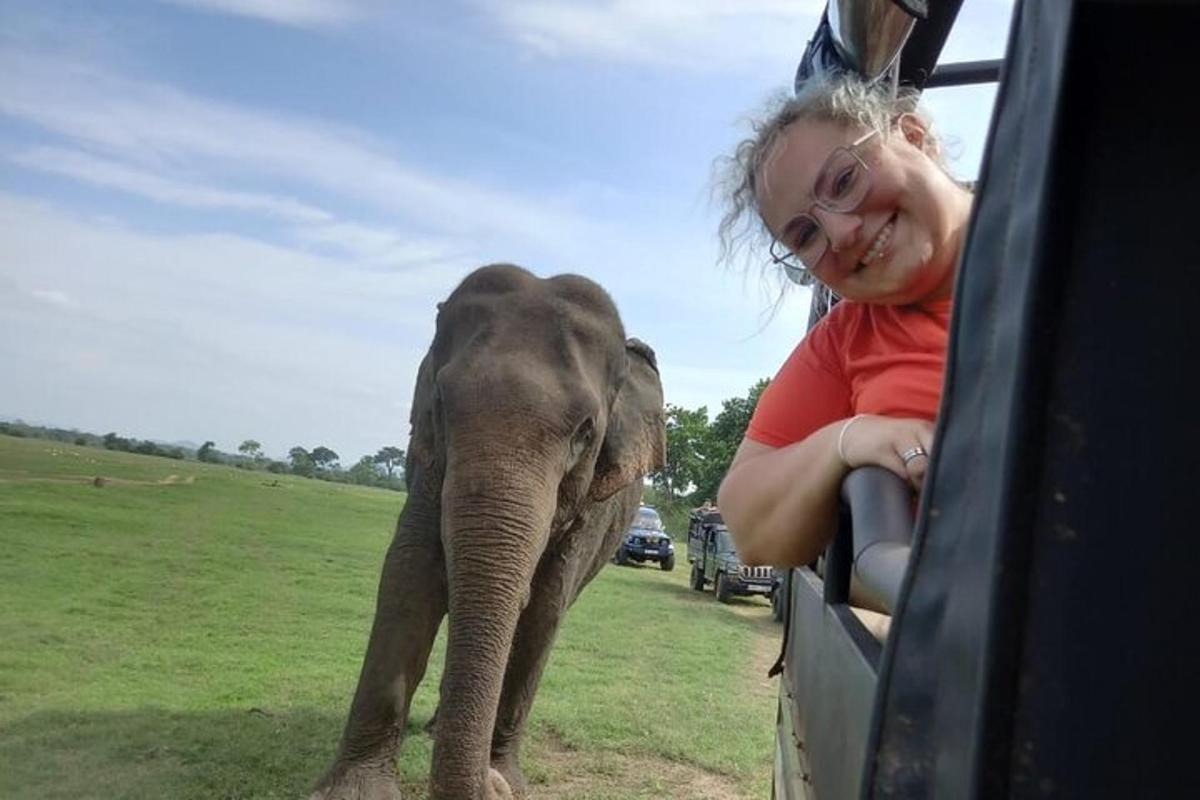 una donna in un veicolo che guarda un cucciolo di elefante