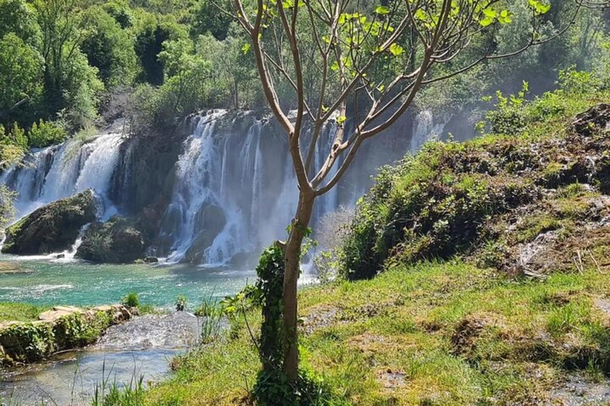 una cascada con un árbol frente a un río