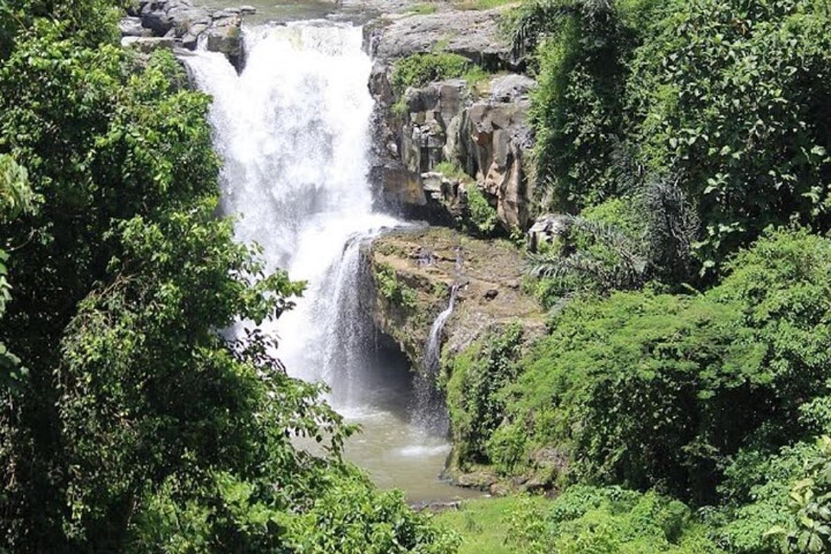 a waterfall on the side of a mountain with trees