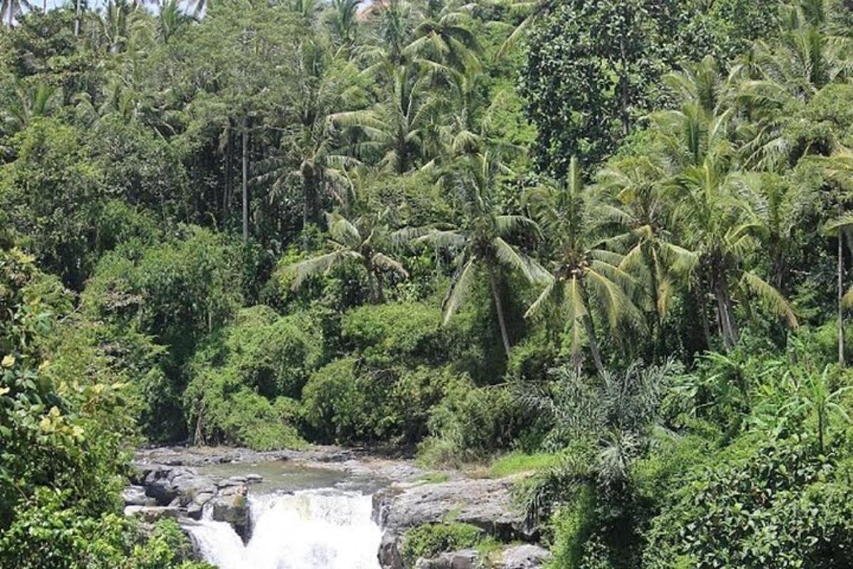 a waterfall in the middle of a jungle with palm trees