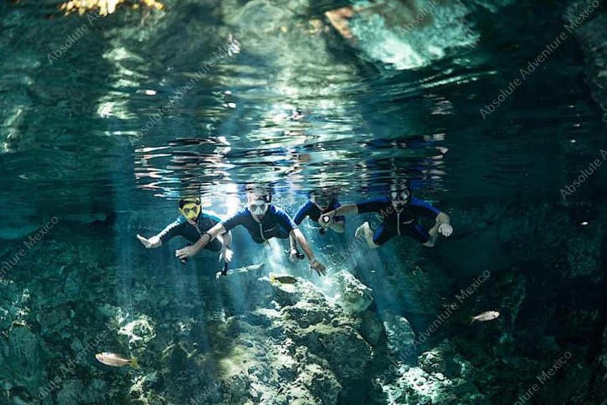 a group of people swimming in the water