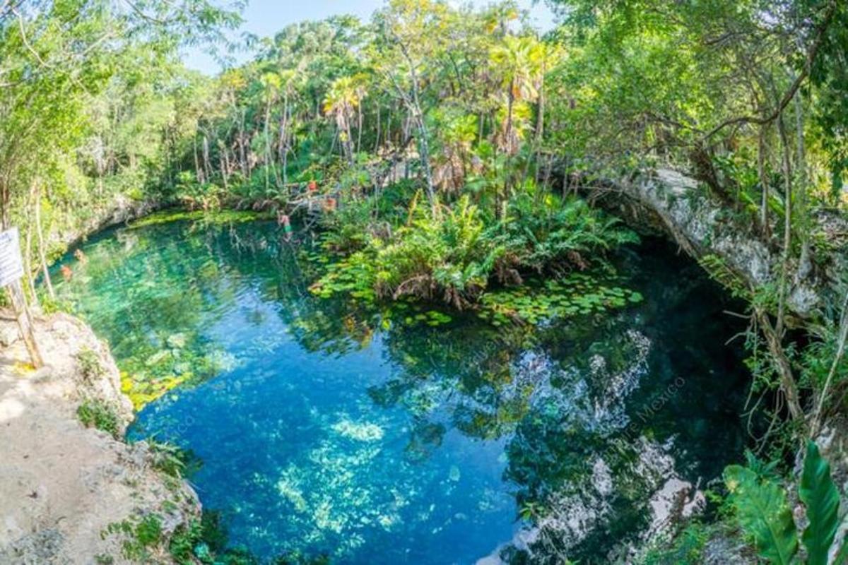 una pozza d'acqua blu in mezzo a una foresta