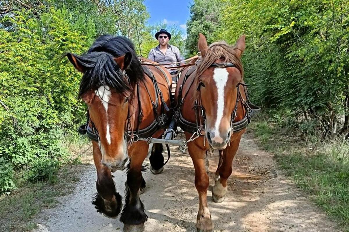 un bărbat conducând o trăsură trasă de cai pe un drum de pământ