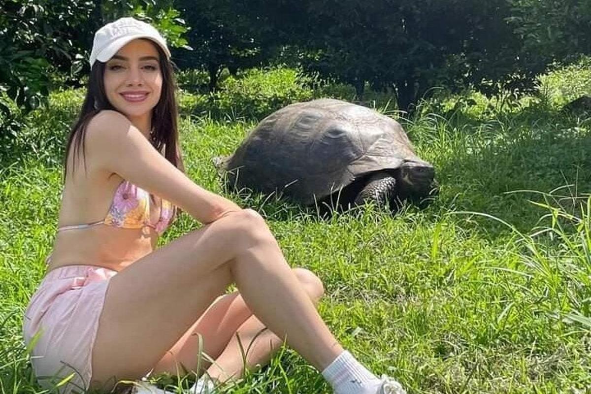 a girl sitting in front of a turtle in the grass