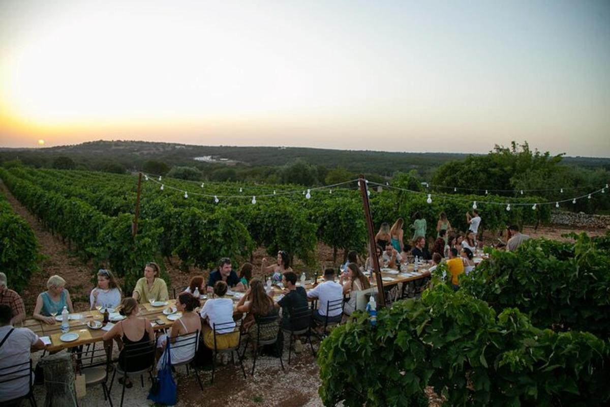 a group of people sitting at tables in a vineyard