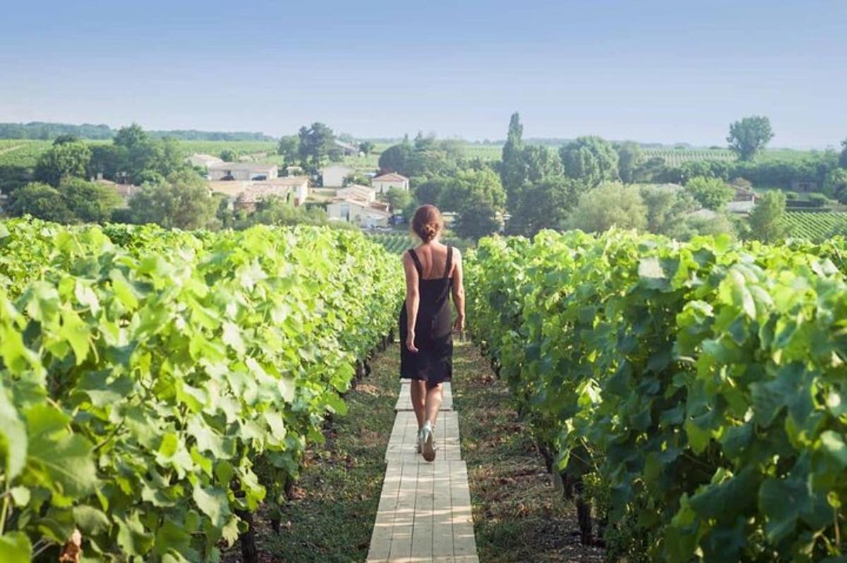 a woman walking through a field of vines