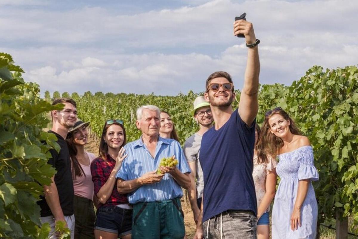 a group of people in a vineyard with a man holding up a camera