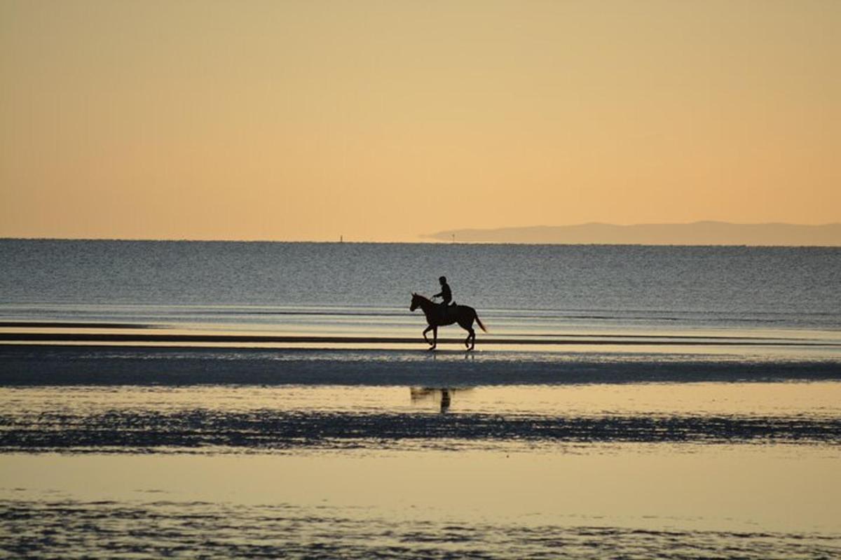 una persona a cavallo sulla spiaggia