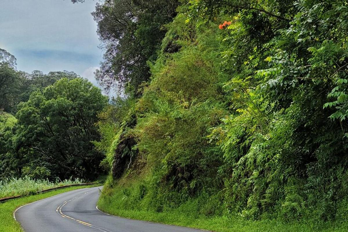 a winding road with trees on the side of a hill