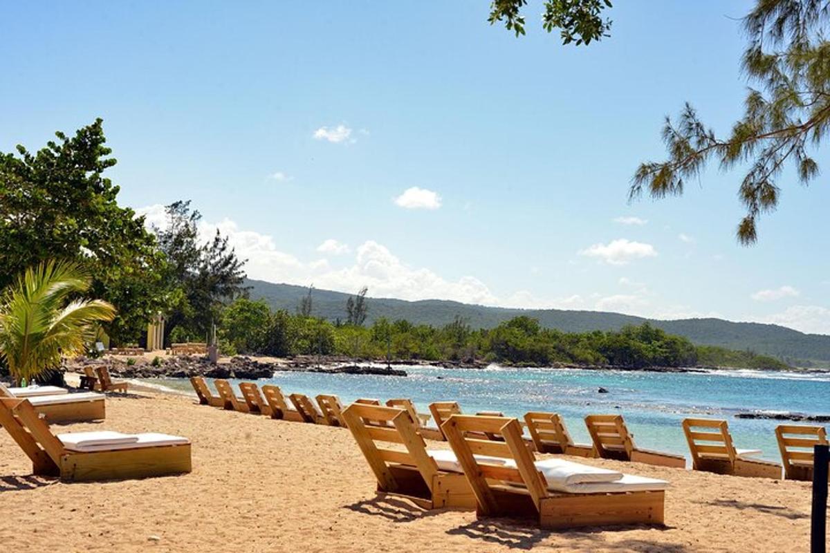 a row of chairs sitting on a beach