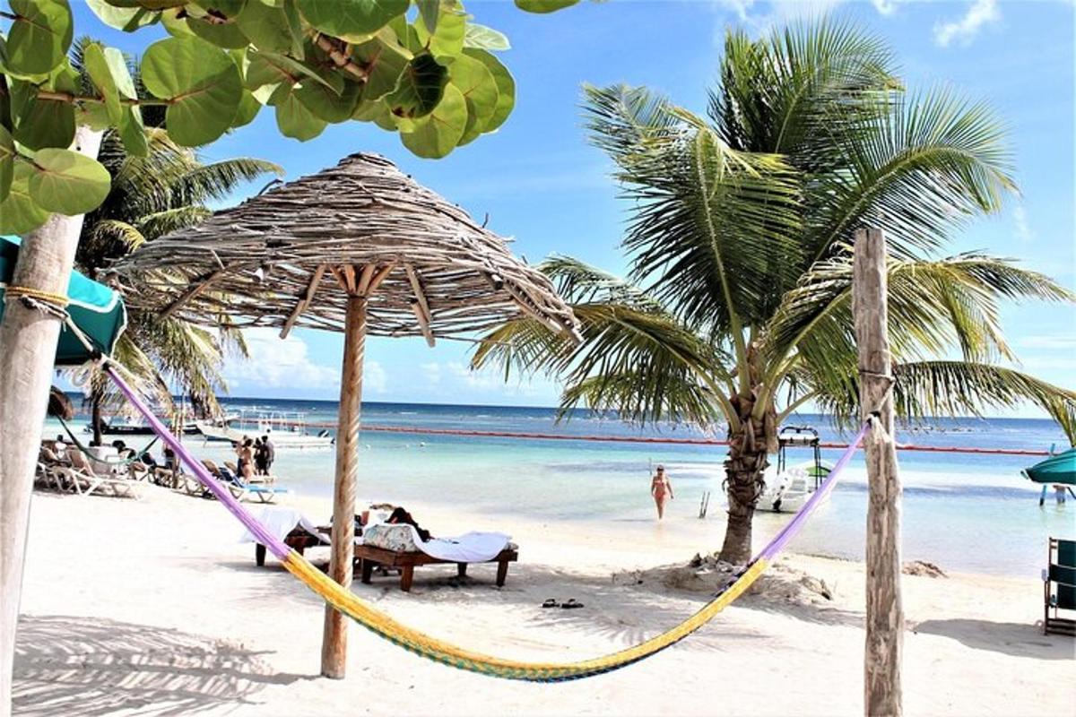 a hammock on a beach with palm trees and the ocean