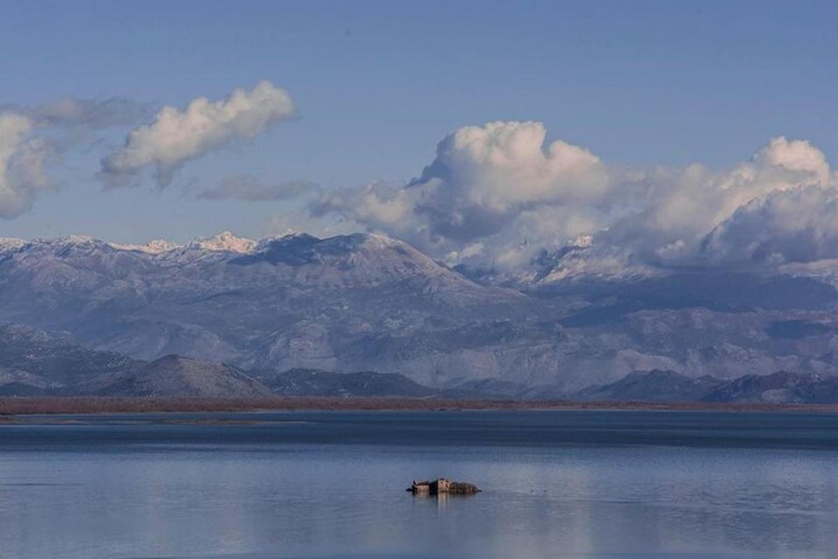 un elefante nell'acqua con le montagne sullo sfondo