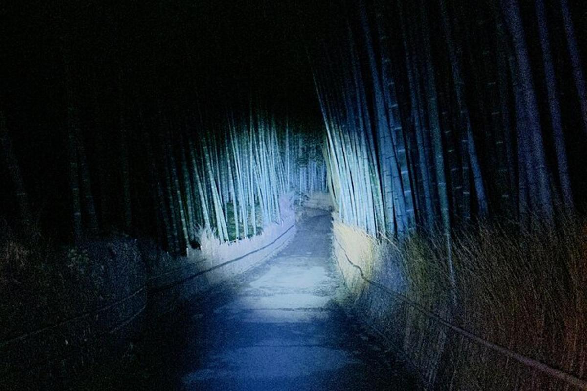 um túnel escuro com uma pessoa caminhando por ele