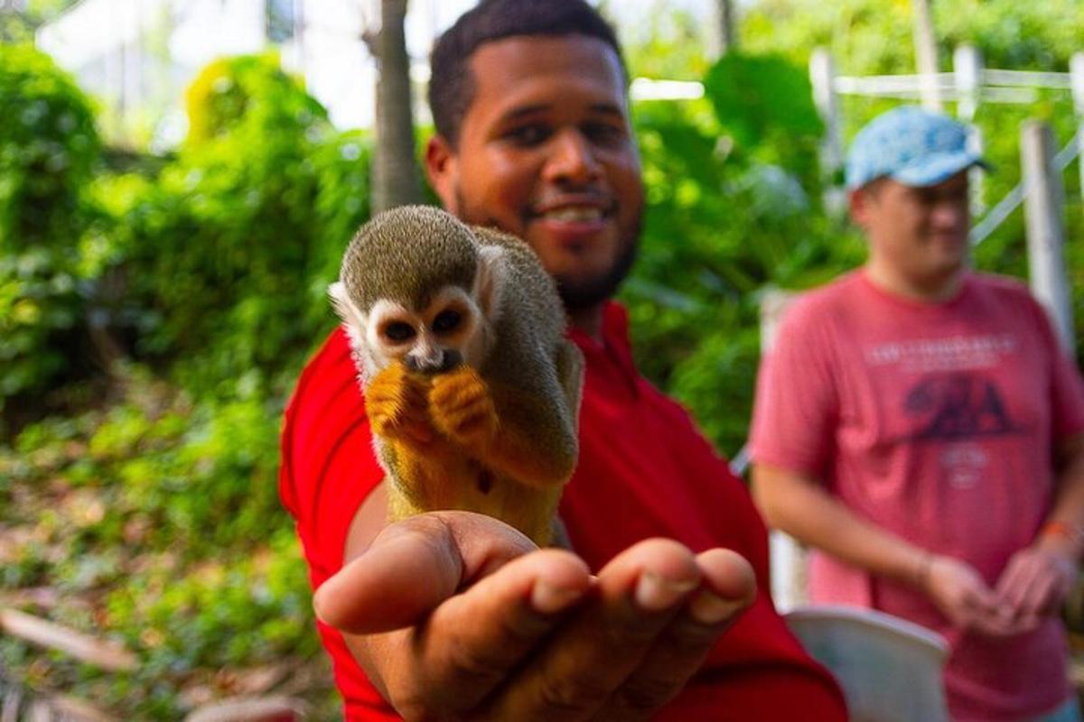 a man holding a small monkey in his hand