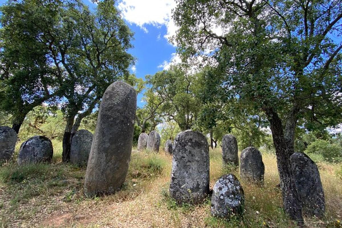 μια ομάδα από πέτρες σε ένα χωράφι με δέντρα