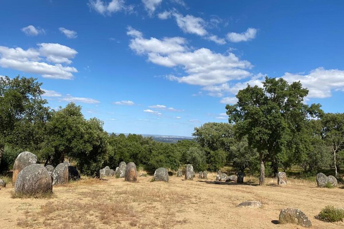 ένα χωράφι με μια δέσμη από πέτρες και δέντρα