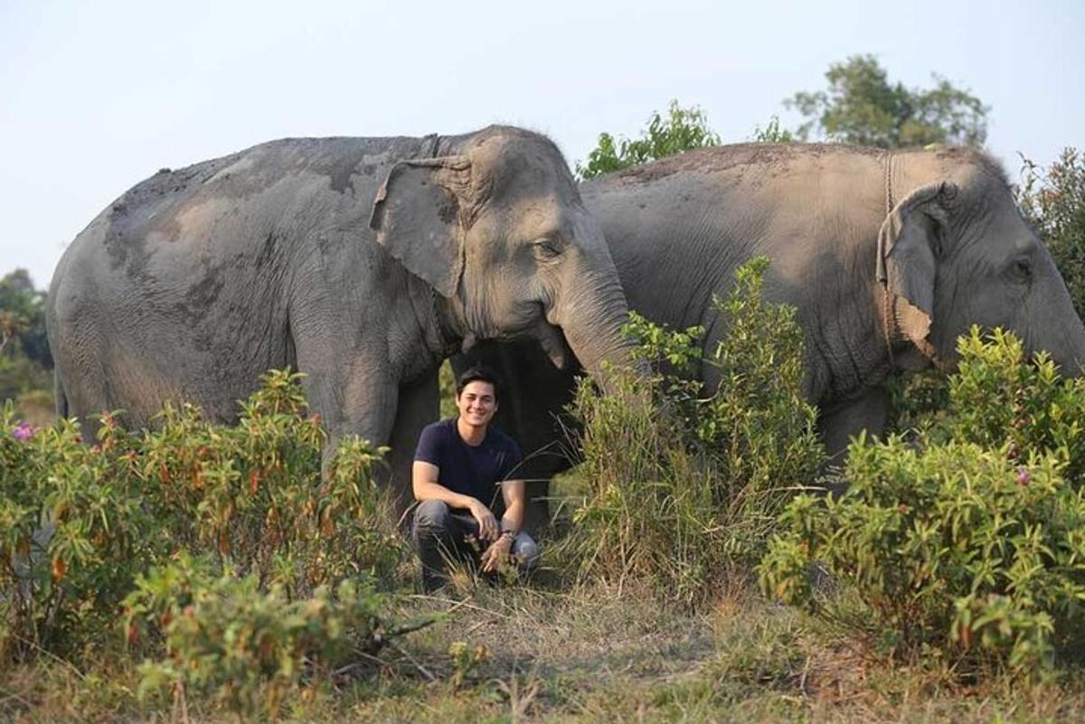 un bărbat stă în fața unui elefant
