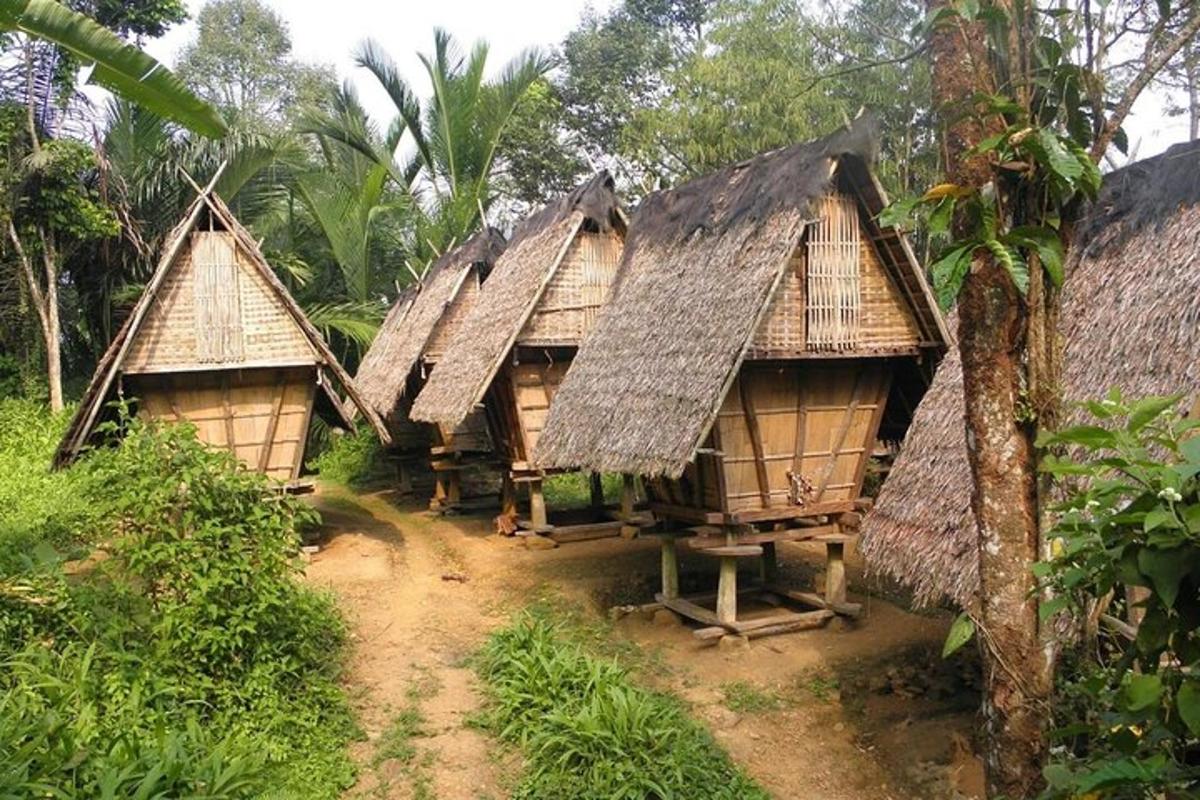 một nhóm túp lều ở giữa rừng