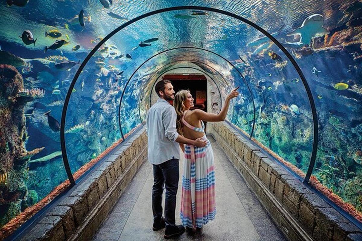 Attraction picture 1