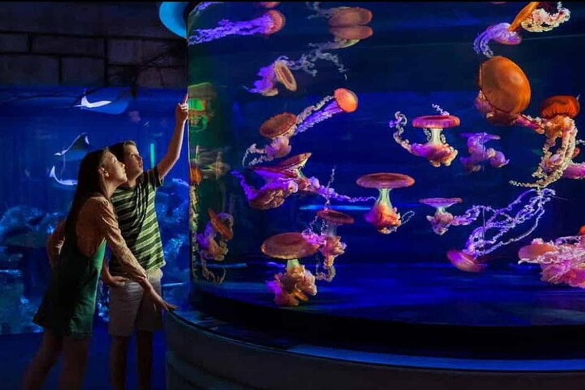 Attraction picture 4