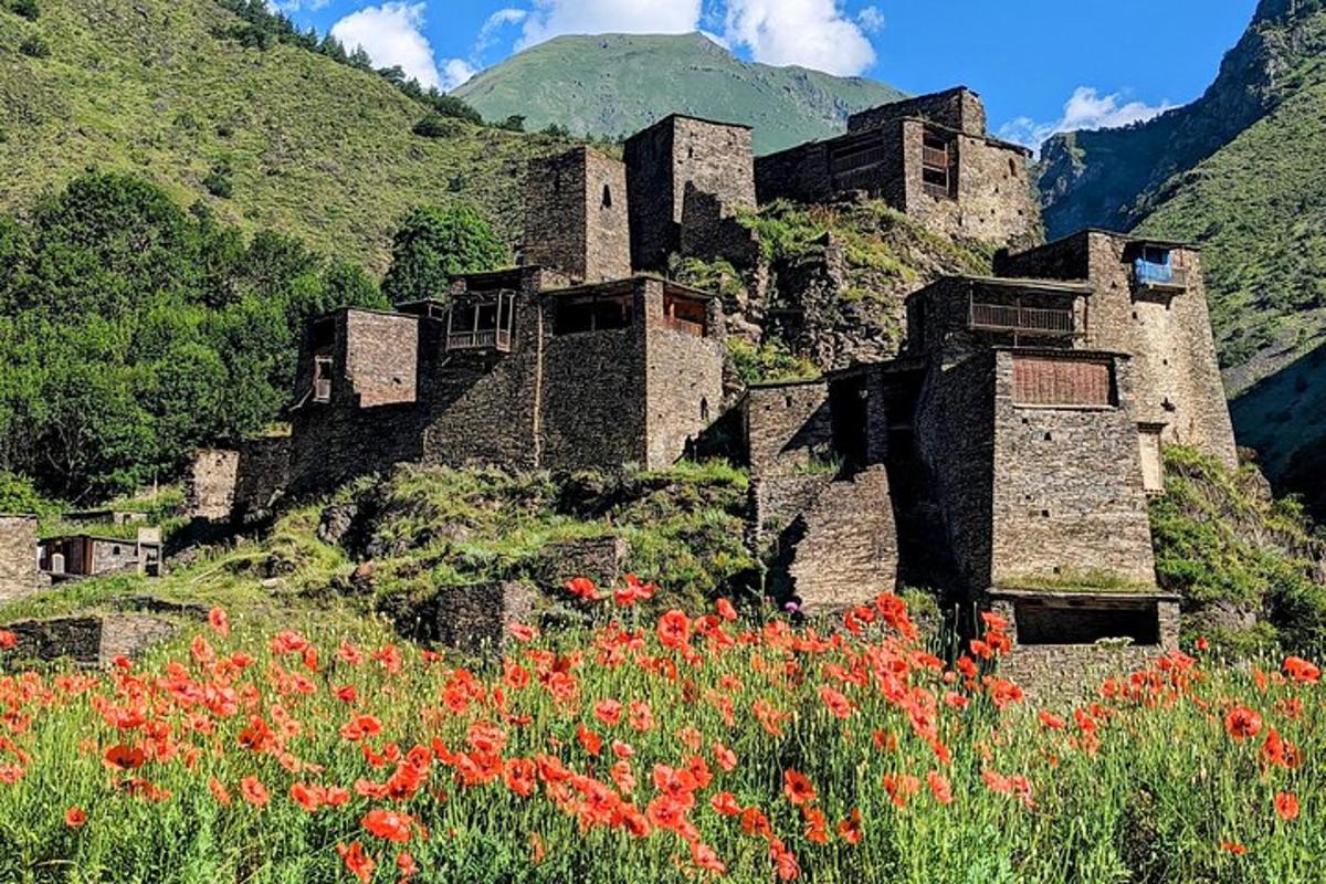 un vecchio castello su una collina con un campo di fiori rossi