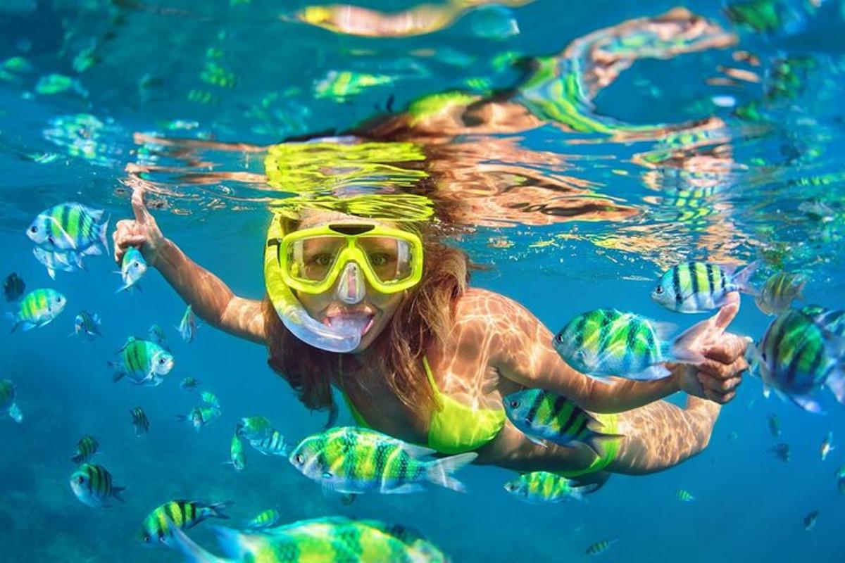シュノーケルをつけて水中で泳ぐ女性