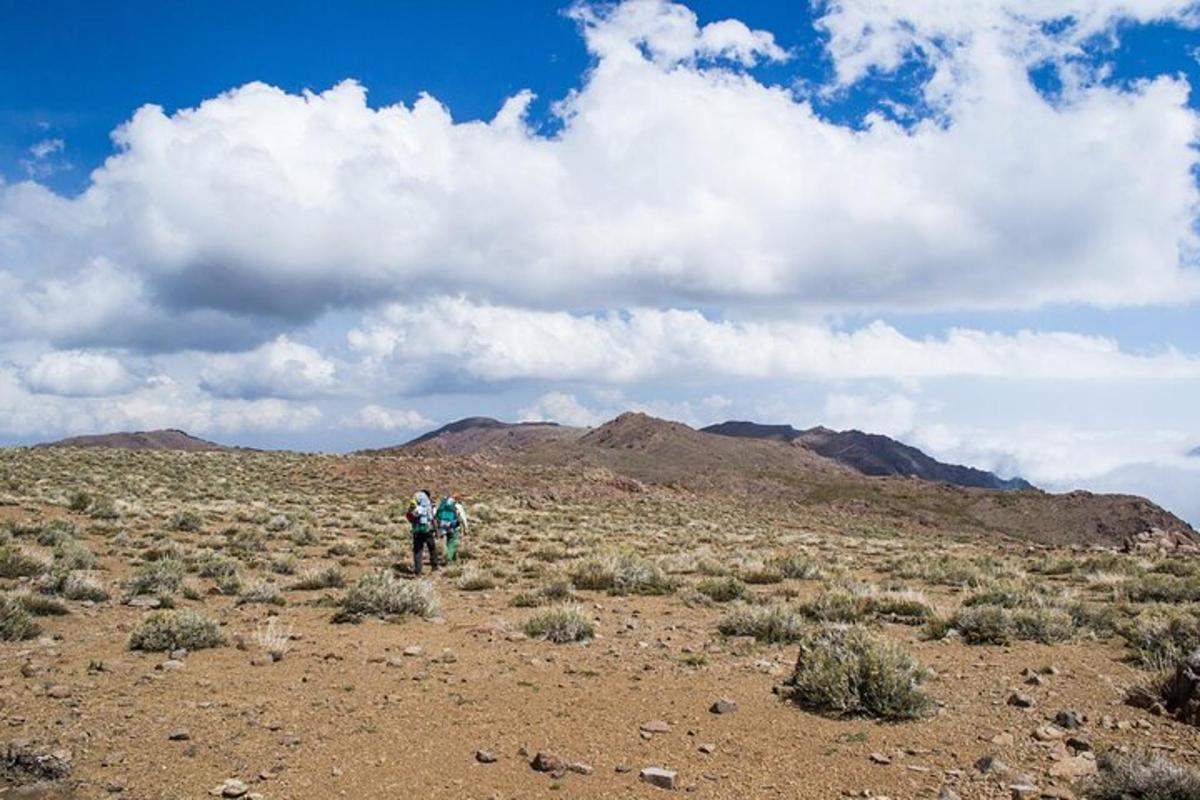 a group of people walking through a desert field