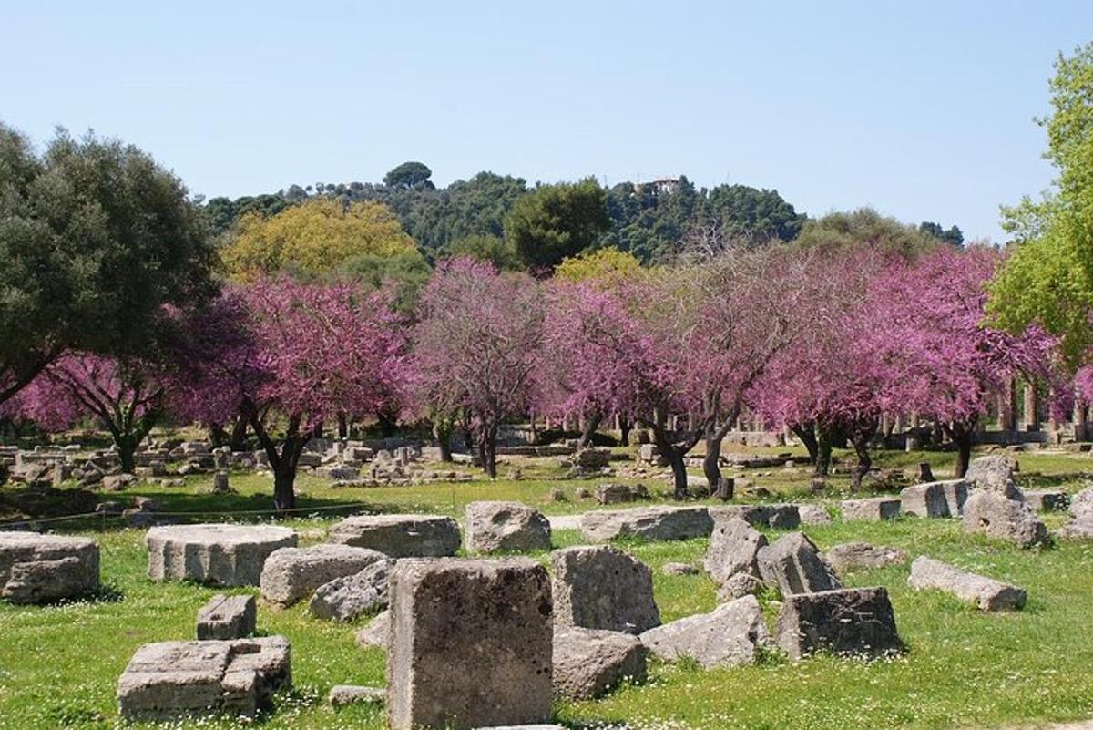 ένα νεκροταφείο με πέτρες και δέντρα με ροζ λουλούδια