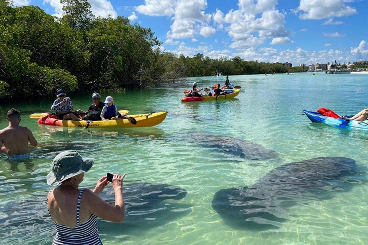 a woman taking a picture of a turtle in the water