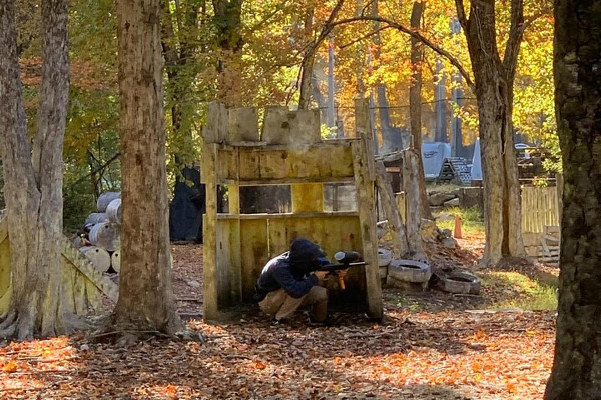 a person playing with a wooden structure in the woods