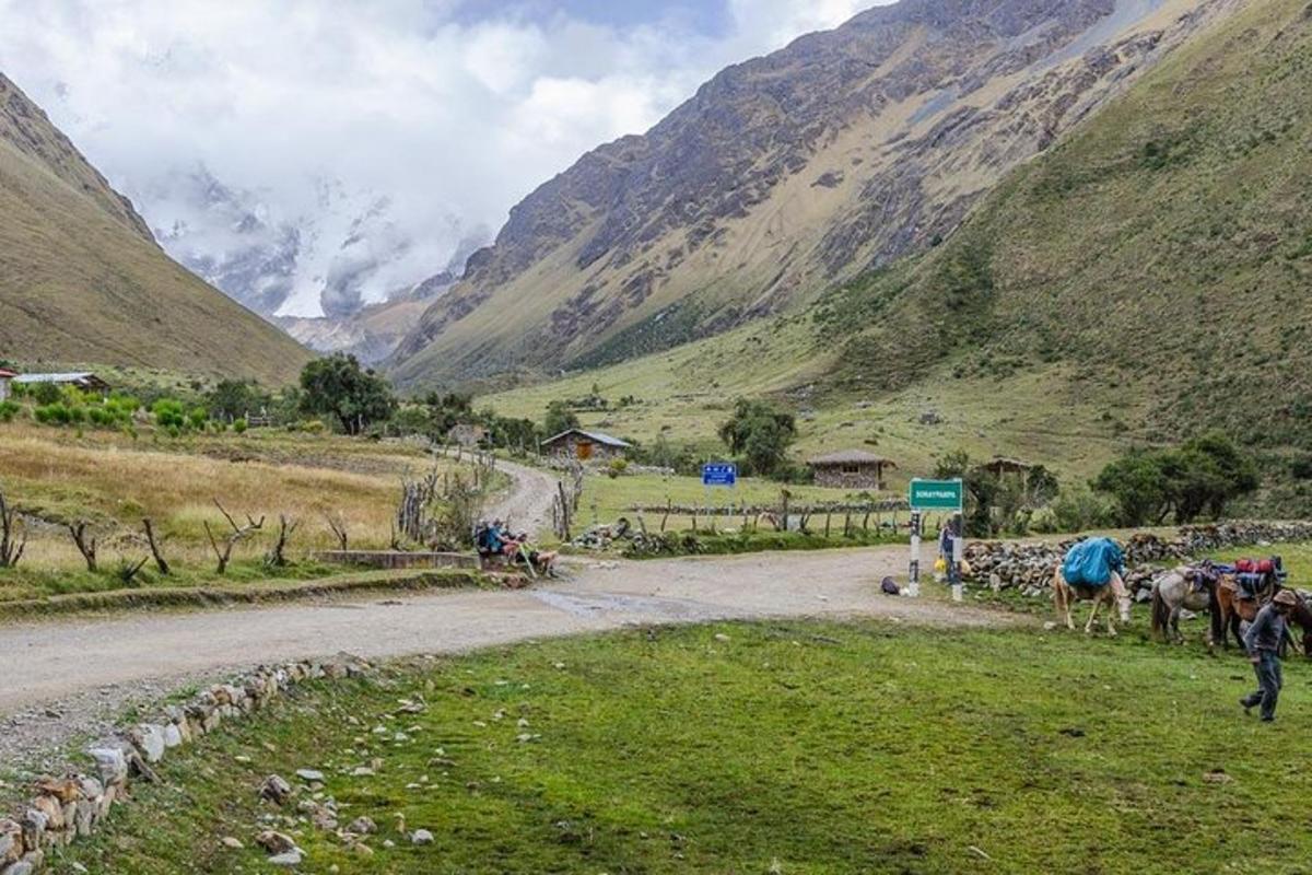 um grupo de cavalos em uma estrada de terra em uma montanha