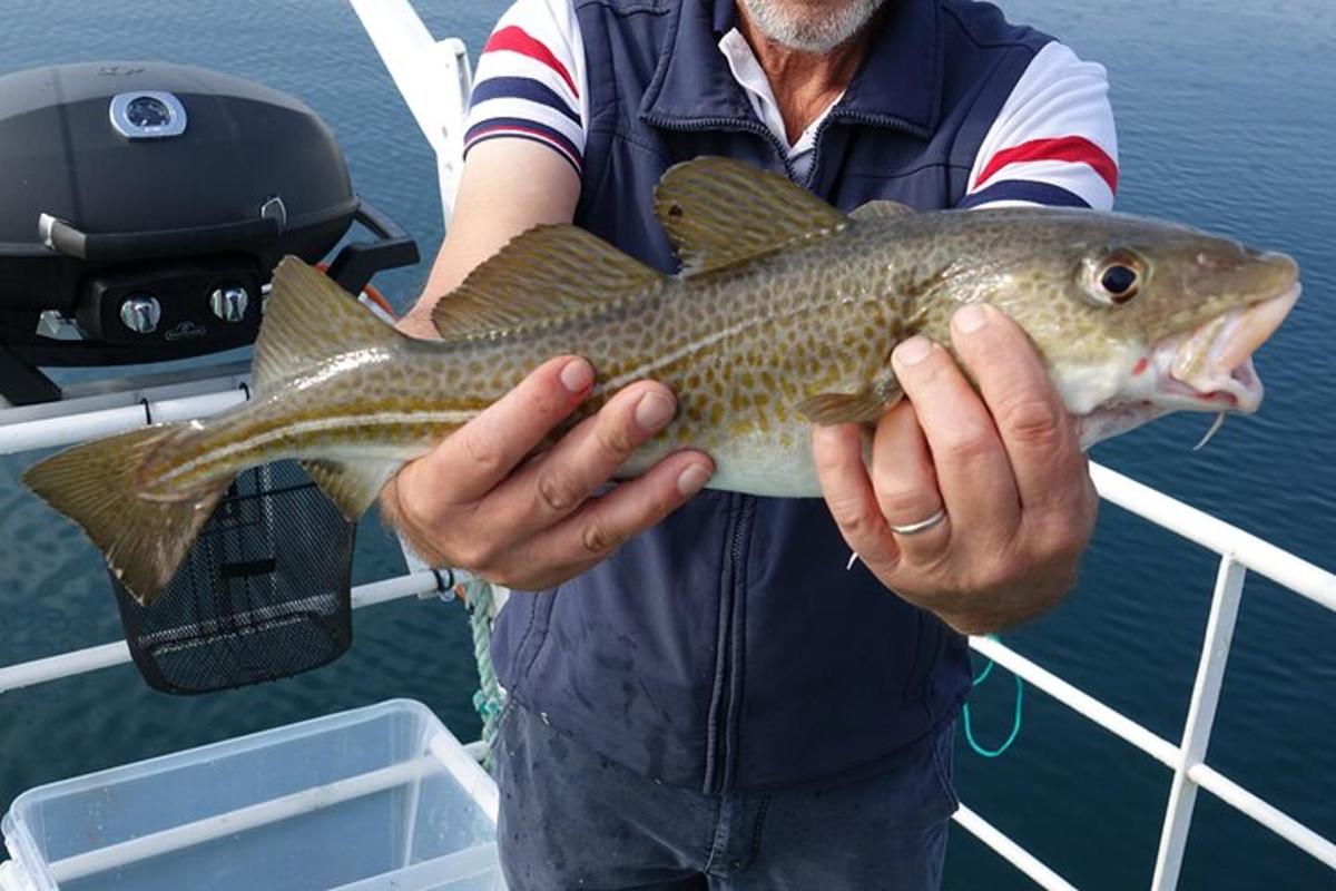 un uomo che tiene un pesce tra le mani