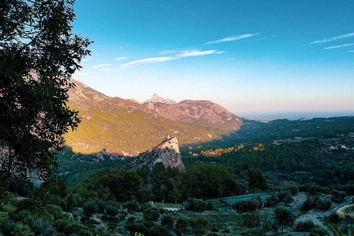 ένα βουνό στη μέση μιας κοιλάδας με δέντρα