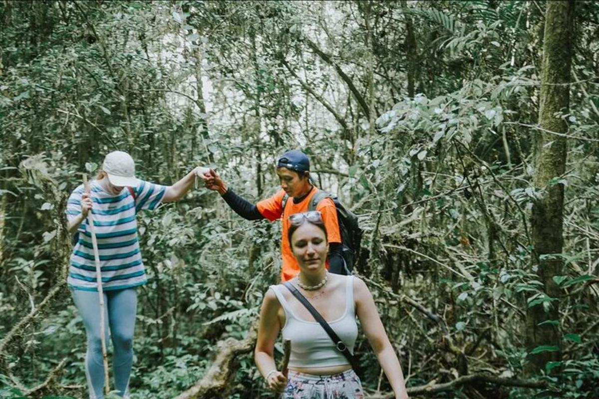 sekumpulan orang berjalan di dalam hutan