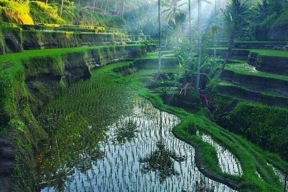 una vista de un río en un campo