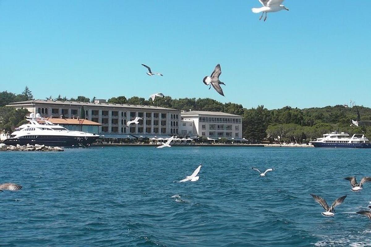 uno stormo di uccelli che sorvola uno specchio d'acqua