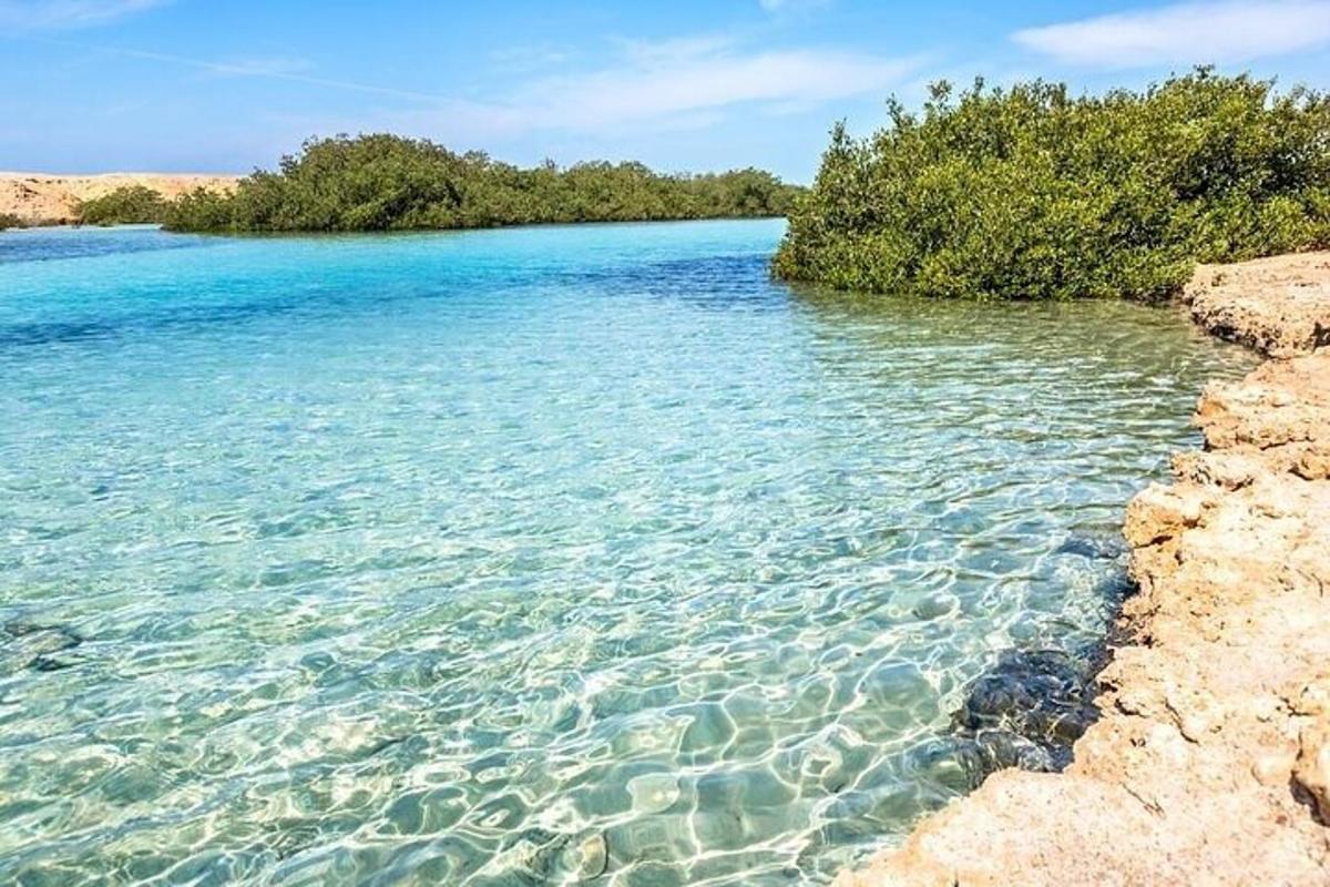 un grande specchio d'acqua con alberi sullo sfondo