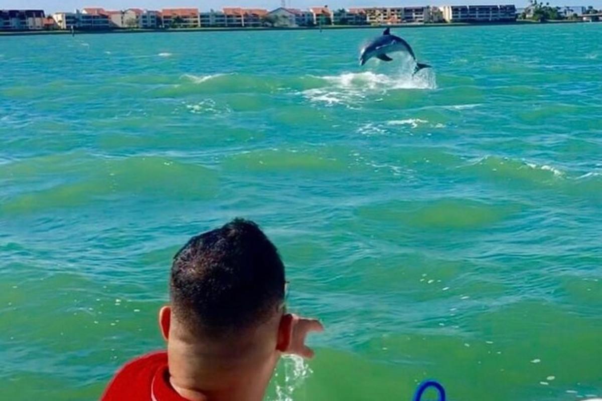 un hombre mirando un delfín en el agua