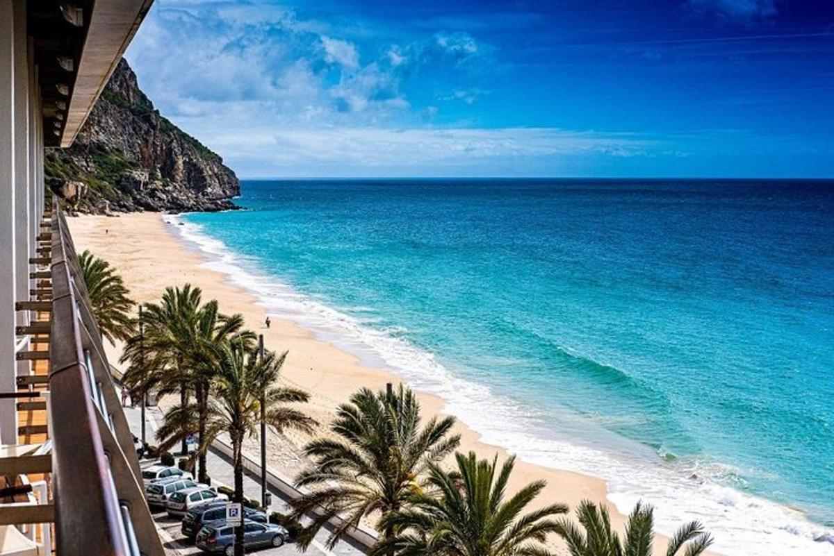 pantai dengan kerusi dan pokok palma dan lautan