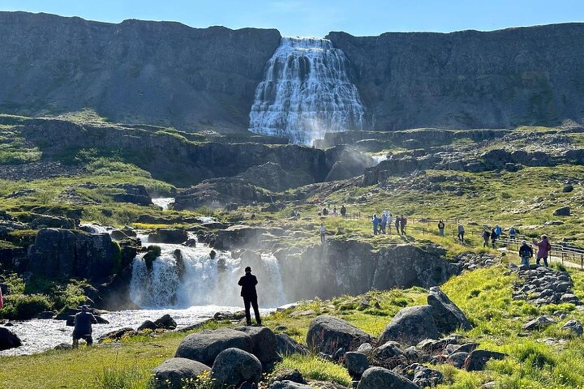 a group of people standing in front of a waterfall