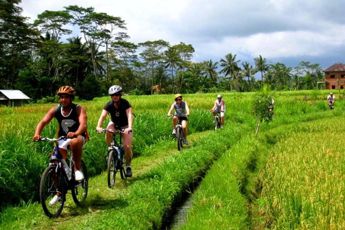 eine Gruppe von Menschen, die auf einem Feld Fahrrad fahren