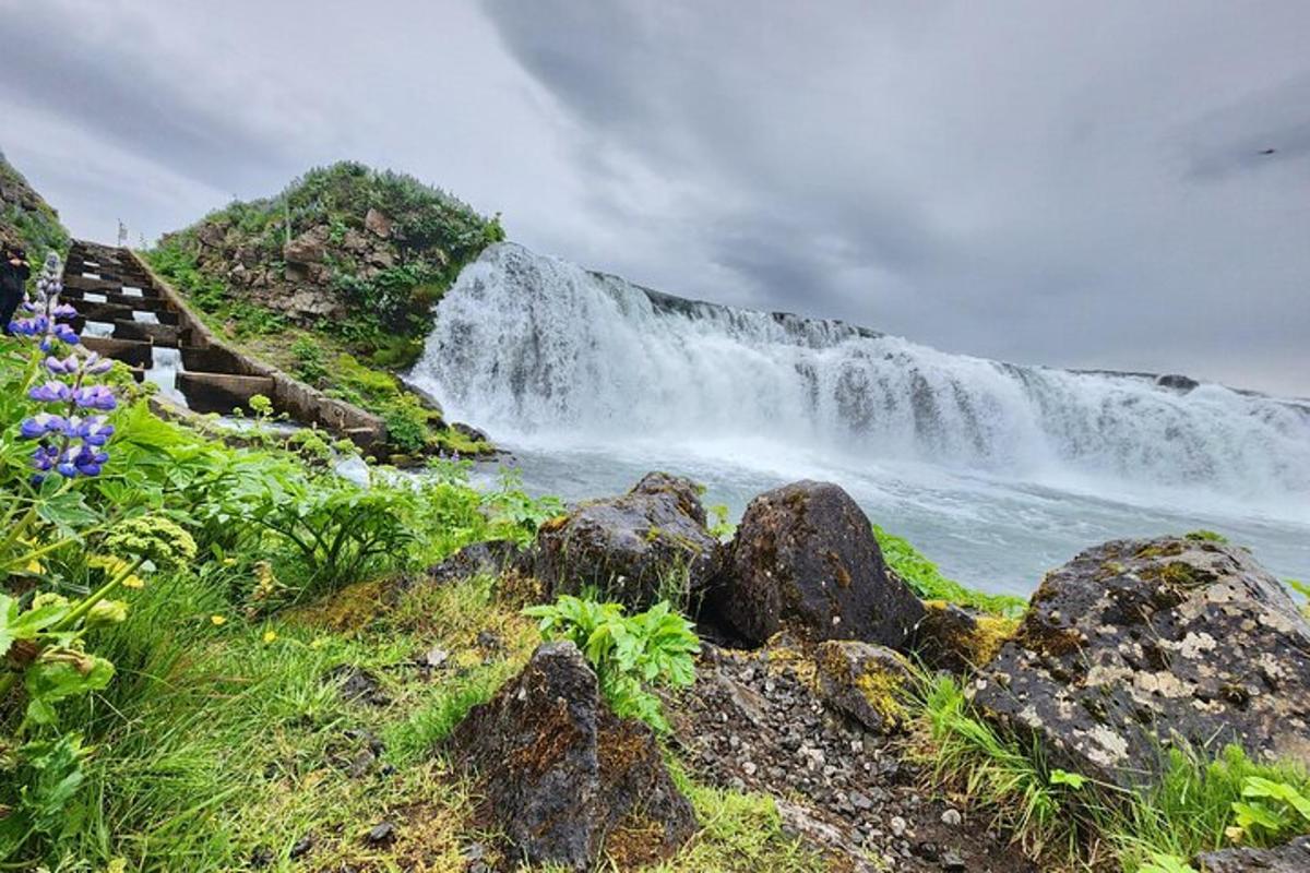 una cascada en un turó amb roques i flors