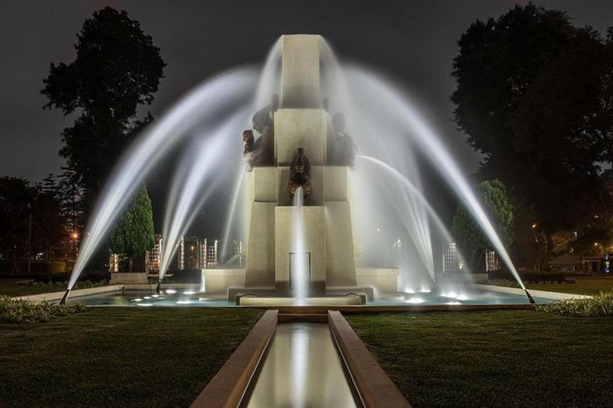 una fontana d'acqua in un parco di notte