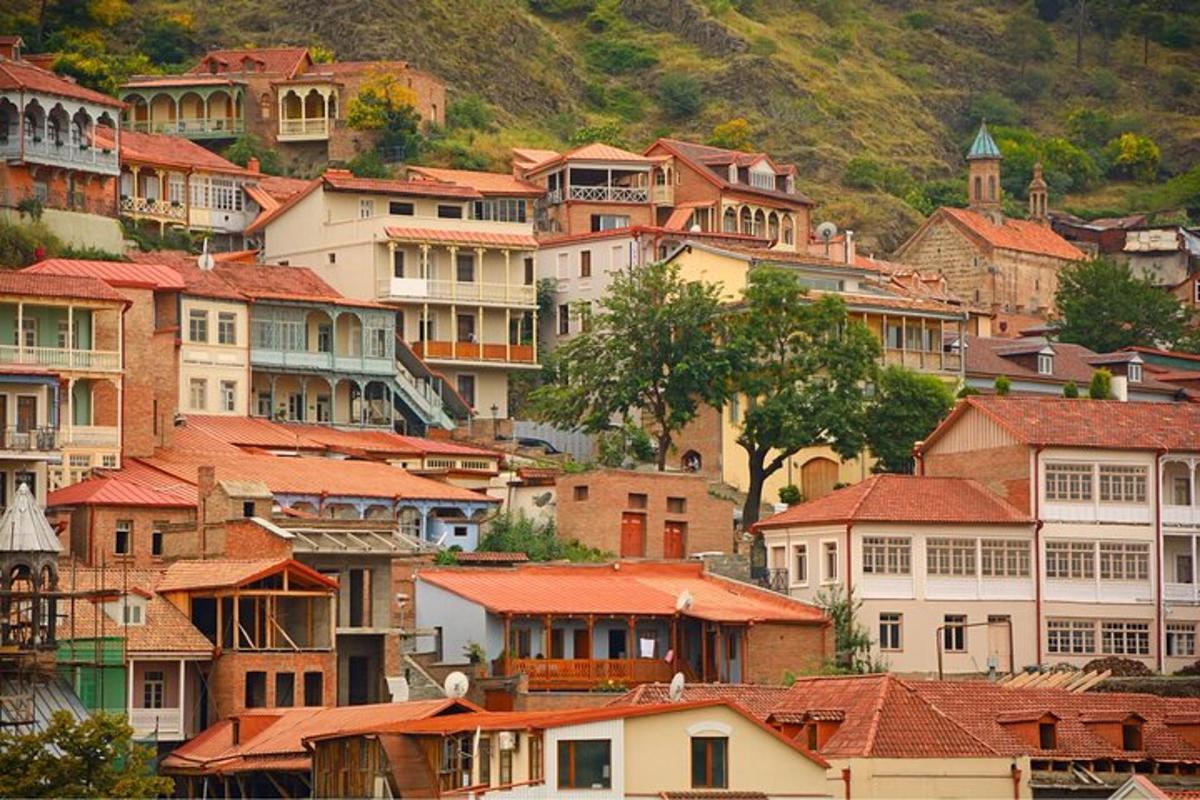 un grupo de casas con techos rojos en una colina