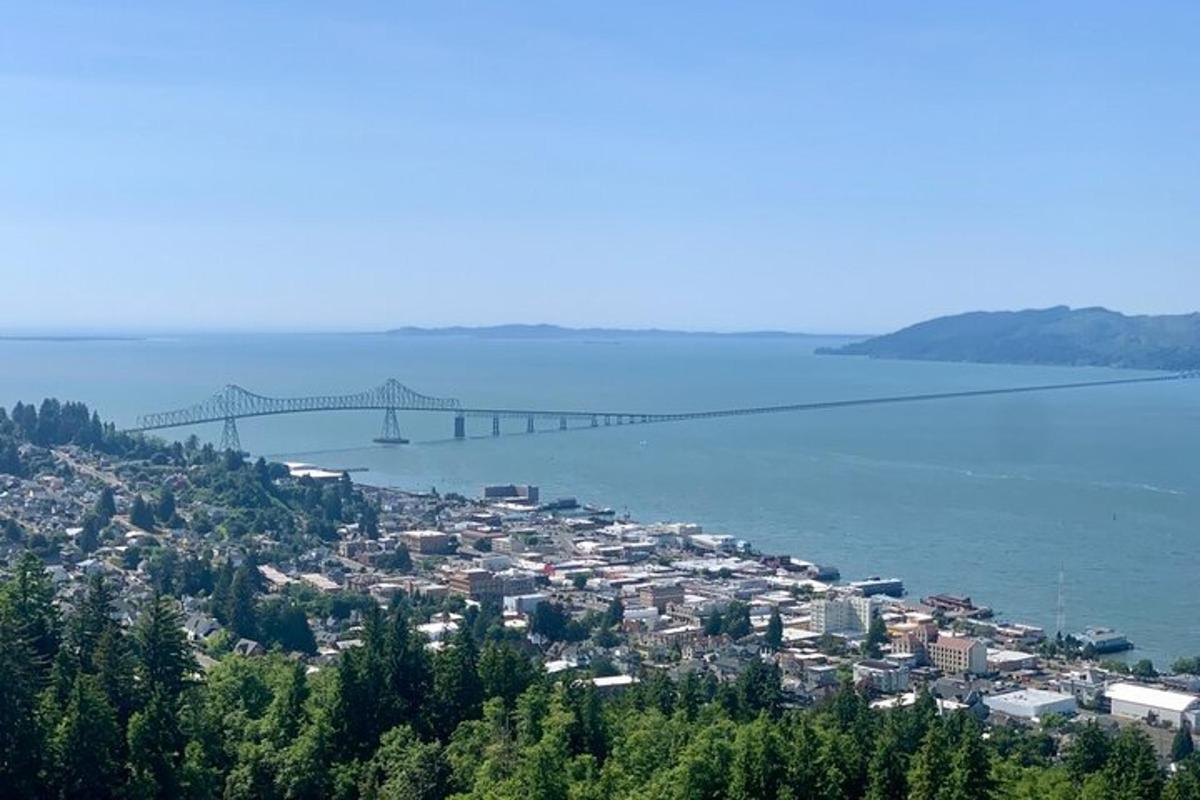 a view of a city with a bridge in the water