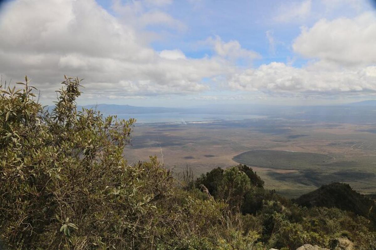 a view from the top of a mountain with trees