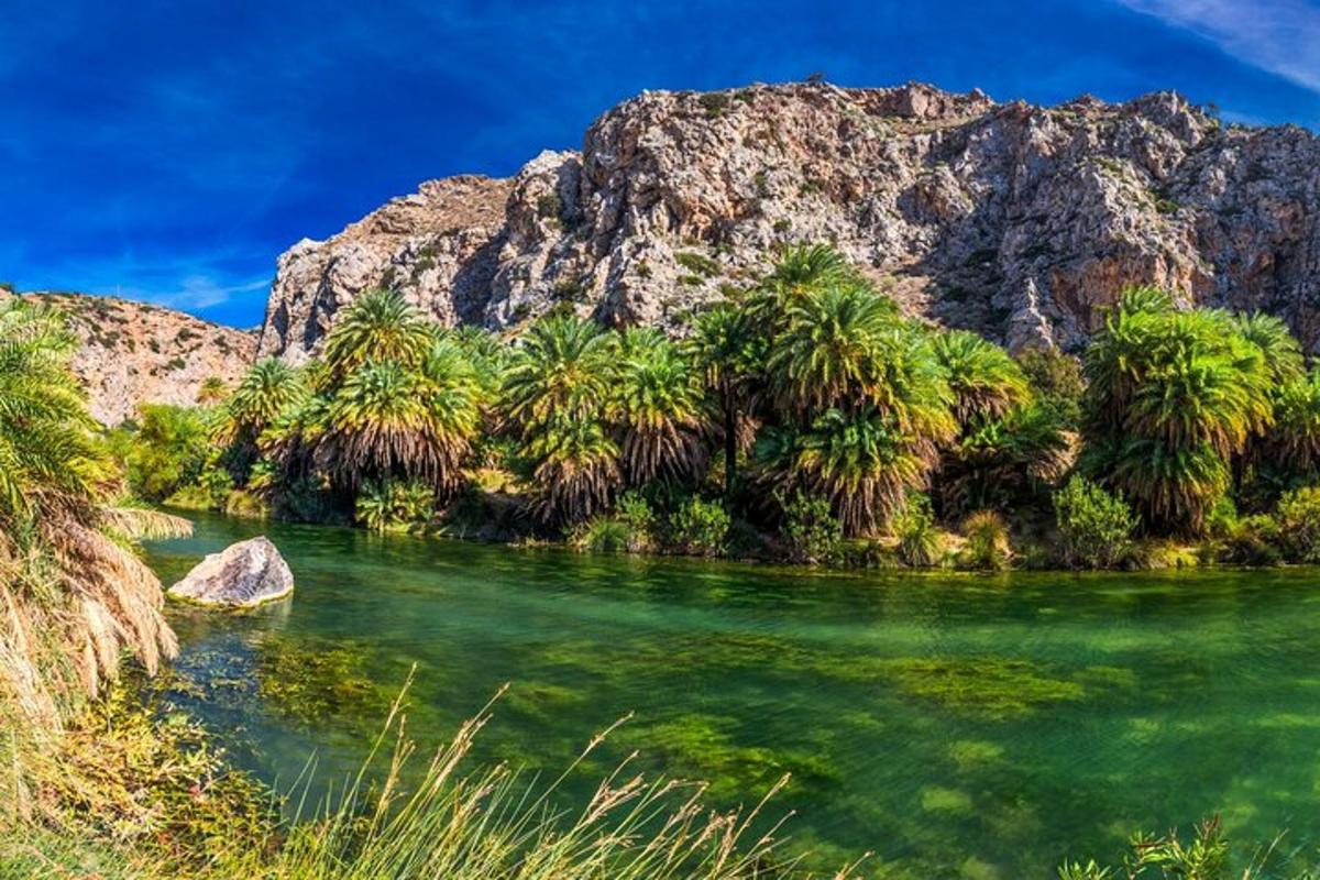 Un río con palmeras frente a una montaña