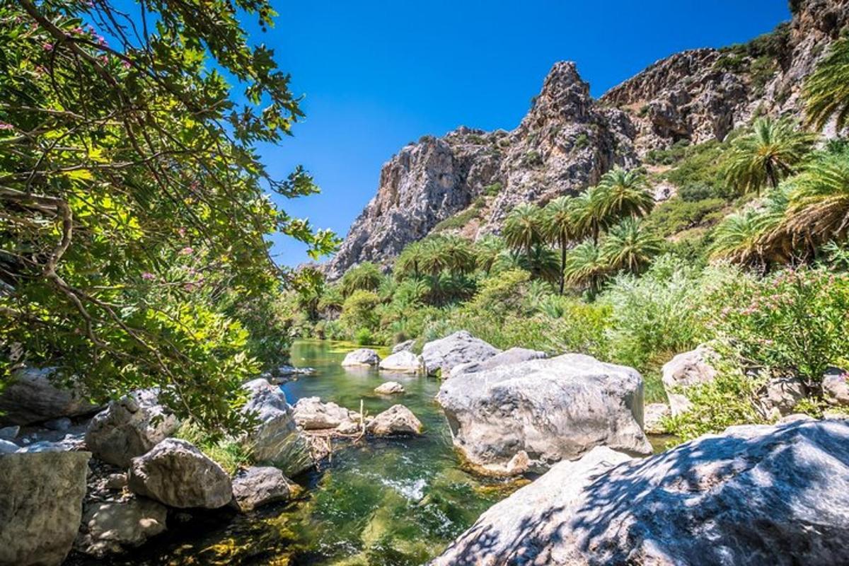 Un río con rocas y árboles y una montaña