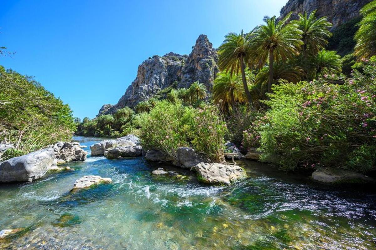 een rivier met rotsen en palmbomen op een berg